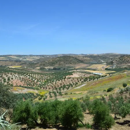 Cortijo Rosario Bed & Breakfast *